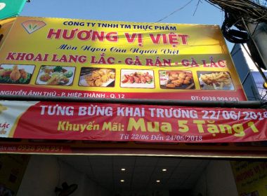 HOẠT ĐỘNG CỦA CÔNG TY